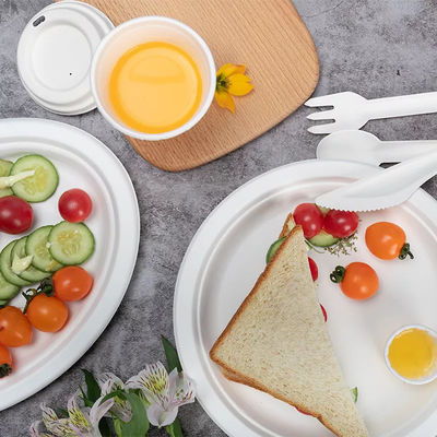 Πράσινα φιλικά μίας χρήσης πιάτα Eco επιτραπέζιου σκεύους κόμματος 100% βιοδιασπάσιμα λιπασματοποιήσιμα