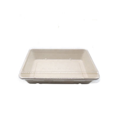 11g Dinnerware βιοδιασπάσιμος δίσκος σουσιών επιτραπέζιου σκεύους βαγάσσης γρήγορου φαγητού με το καπάκι της Pet