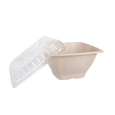 κιβώτιο 16 24 βιοδιασπάσιμο ζαχαροκάλαμων 32oz βαγάσσης κύπελλων φρούτων εμπορευματοκιβωτίων σαλάτας με την κάλυψη