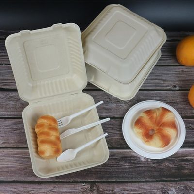 800ml take-$l*away εμπορευματοκιβωτίων μίας χρήσης πιάτα γιορτής γενεθλίων Clamshell βαγάσσης μικροκυμάτων ασφαλή