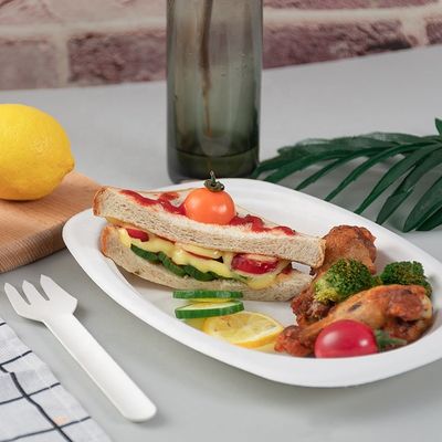 Πράσινα φιλικά μίας χρήσης πιάτα Eco επιτραπέζιου σκεύους κόμματος 100% βιοδιασπάσιμα λιπασματοποιήσιμα