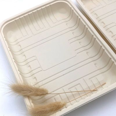 Βιοδιασπάσιμο Sealable Cornstarch κρέατος εμπορευματοκιβώτιο 150mm δίσκων παγωμένων τροφίμων επιτραπέζιου σκεύους
